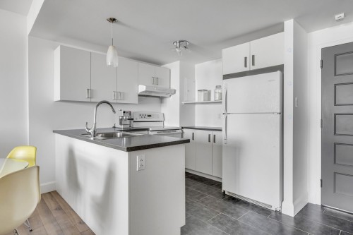 Cuisine - 10-600 Av. Wilfrid-Laurier, Québec (La Cité-Limoilou), QC - Indoor Photo Showing Kitchen With Double Sink
