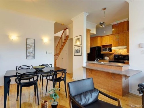 Vue d'ensemble - 6-1060 Rue Ste-Élisabeth, Montréal (Ville-Marie), QC - Indoor