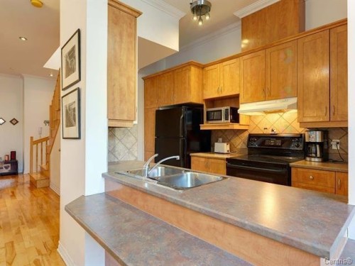 Cuisine - 6-1060 Rue Ste-Élisabeth, Montréal (Ville-Marie), QC - Indoor Photo Showing Kitchen With Double Sink