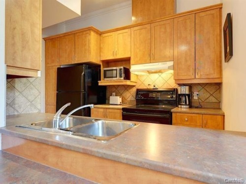 Cuisine - 6-1060 Rue Ste-Élisabeth, Montréal (Ville-Marie), QC - Indoor Photo Showing Kitchen With Double Sink