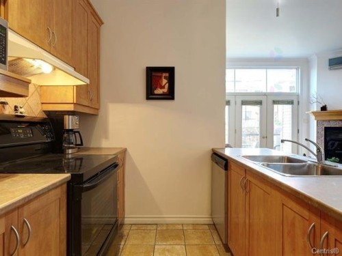 Cuisine - 6-1060 Rue Ste-Élisabeth, Montréal (Ville-Marie), QC - Indoor Photo Showing Kitchen With Double Sink