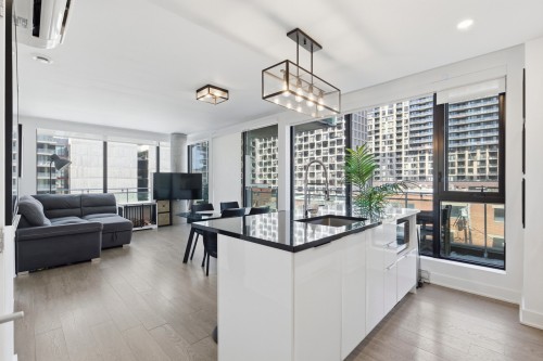 Vue d'ensemble - 506-1165 Rue Wellington, Montréal (Le Sud-Ouest), QC - Indoor