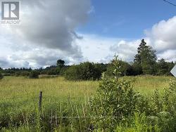 0 OLD MUSKOKA TO THE EAST SIDE OF #1105 ROAD Huntsville (Stephenson), ON P0B 1M0