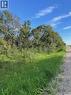 Acreage Lot, Corman Park Rm No. 344, SK 