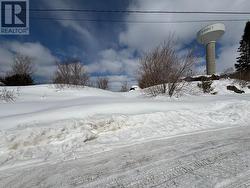 28 LAIRD CRESCENT Cobalt, ON P0J 1C0