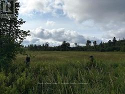 0 OLD MUSKOKA TO THE WEST SIDE OF #1105 ROAD Huntsville (Stephenson), ON P0B 1M0