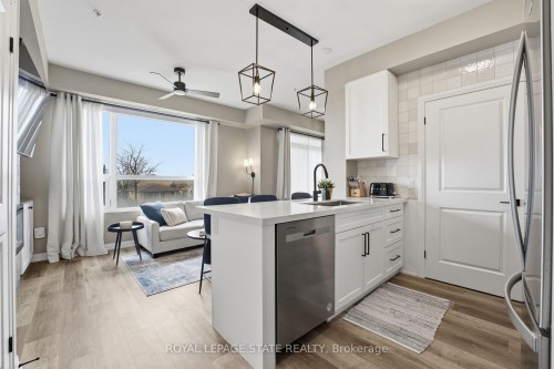 203-120 Springvalley Crescent, Hamilton, ON - Indoor Photo Showing Kitchen With Upgraded Kitchen