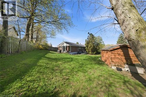 Expansive green lawn with mature trees and a wooden privacy fence - 71 Pinecrest Drive, Kitchener, ON - Outdoor