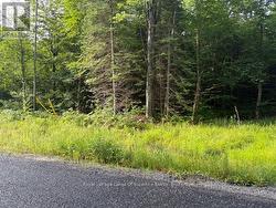 48 SUMMER LEIGH TRAIL Huntsville (Stephenson), ON P0B 1M0