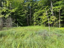 1788 OLD MUSKOKA ROAD Huntsville (Stephenson), ON P0B 1M0