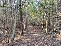 000 MAPLE GROVE Road Scotland, ON N0E 1R0