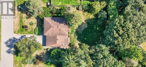 7 Maplecrest Road, Springwater, ON - Outdoor With View