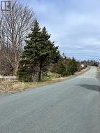 #81-89 Town Circle Road Pouch Cove, NL A0A 3L0