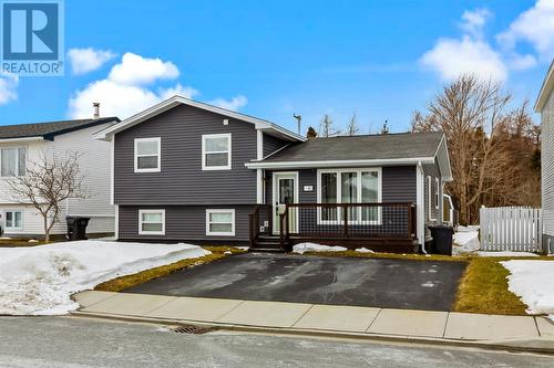 43 Stephanie Avenue  Paradise, NL A1L 1E6