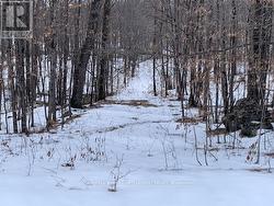 0 RED PINE ROAD Tay Valley, ON K0H 2B0