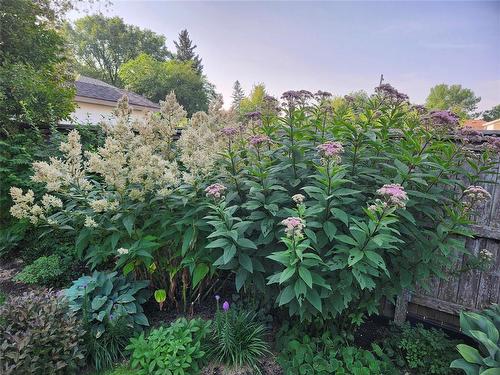 37 Optimist Way, Winnipeg, MB - Outdoor