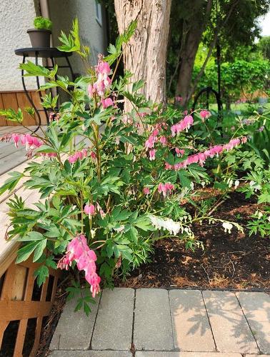 37 Optimist Way, Winnipeg, MB - Outdoor