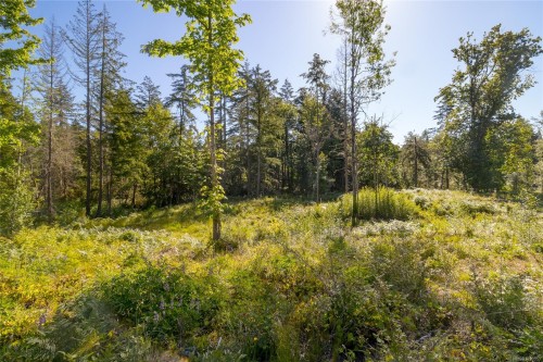 7 Sunrise Rd, Duncan, BC 