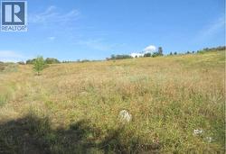 8017 Greenhow Road Vernon, BC V1B 3S2