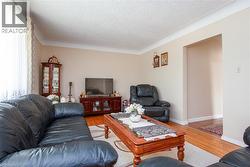 Living room with light wood-style flooring, a textured ceiling, and ornamental molding - 