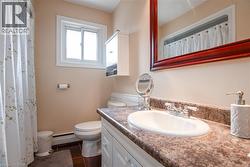 Bathroom with vanity, a shower with curtain, and a baseboard radiator - 
