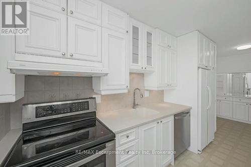 201 - 9 Grant Boulevard, Hamilton (Dundas), ON - Indoor Photo Showing Kitchen
