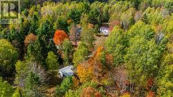 1304 LOWER MONMOUTH LAKE ROAD Highlands East (Monmouth), ON K0L 2Y0