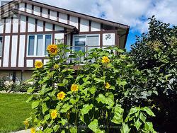 106A WELLINGTON MAIN STREET Prince Edward County (Wellington Ward), ON K0K 3L0