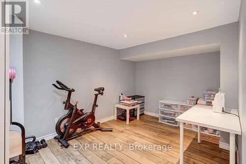 42 Terrace Drive, Hamilton, ON - Indoor Photo Showing Gym Room