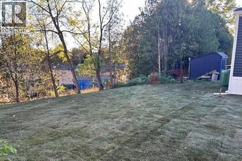 View of green lawn featuring view of wooded area - 24 Macpherson Crescent, Flamborough, ON - Outdoor