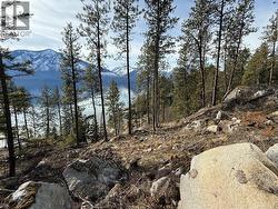 9779 3A Highway Unit# B Kuskanook, BC V0B 1A1