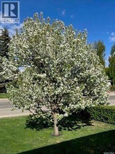 106 Laurentian Drive, Saskatoon, SK - Outdoor