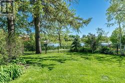 Back Yard - 