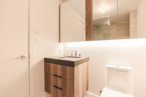 Salle de bains - 1253-101 Rue Peel, Montréal (Le Sud-Ouest), QC - Indoor Photo Showing Bathroom