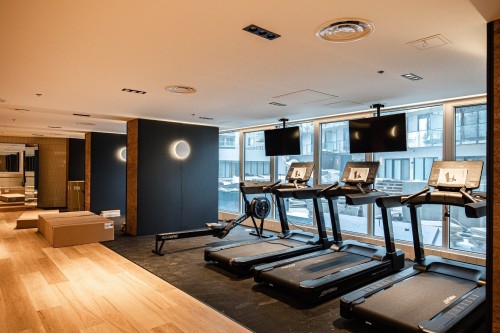 Salle d'exercice - 1253-101 Rue Peel, Montréal (Le Sud-Ouest), QC - Indoor Photo Showing Gym Room