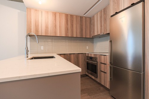 Cuisine - 1253-101 Rue Peel, Montréal (Le Sud-Ouest), QC - Indoor Photo Showing Kitchen