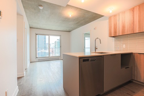 Cuisine - 1253-101 Rue Peel, Montréal (Le Sud-Ouest), QC - Indoor Photo Showing Kitchen