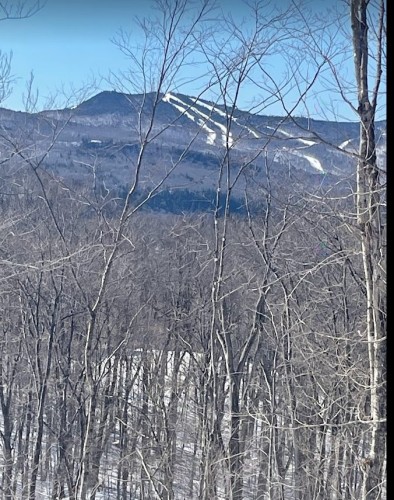 Vue - 565 Ch. Du Refuge, Lac-Supérieur, QC - Outdoor With View
