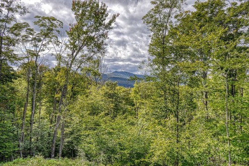 Terre/Terrain - 565 Ch. Du Refuge, Lac-Supérieur, QC - Outdoor With View