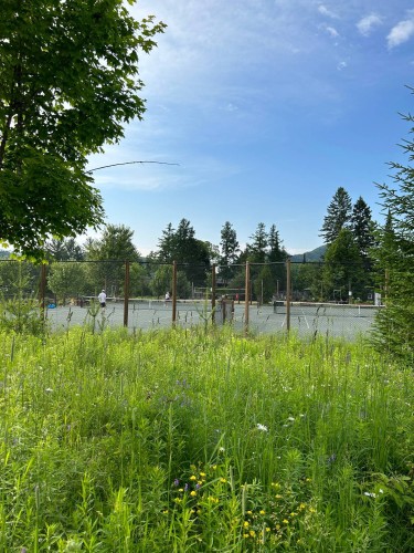 Autre - 565 Ch. Du Refuge, Lac-Supérieur, QC - Outdoor