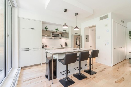 Cuisine - 208-363 Rue St-Hubert, Montréal (Ville-Marie), QC - Indoor Photo Showing Kitchen With Upgraded Kitchen