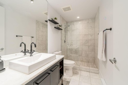 Salle de bains - 208-363 Rue St-Hubert, Montréal (Ville-Marie), QC - Indoor Photo Showing Bathroom