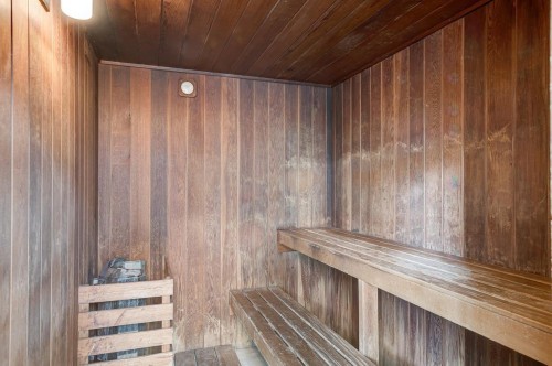 Sauna - 208-363 Rue St-Hubert, Montréal (Ville-Marie), QC - Indoor Photo Showing Other Room