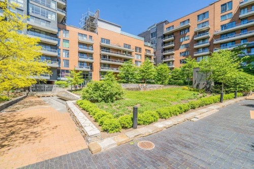 Jardin - 208-363 Rue St-Hubert, Montréal (Ville-Marie), QC - Outdoor With Balcony