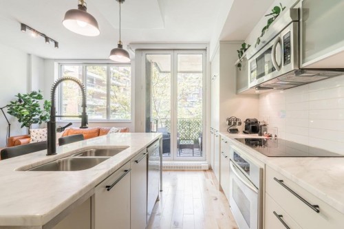 Cuisine - 208-363 Rue St-Hubert, Montréal (Ville-Marie), QC - Indoor Photo Showing Kitchen With Double Sink With Upgraded Kitchen