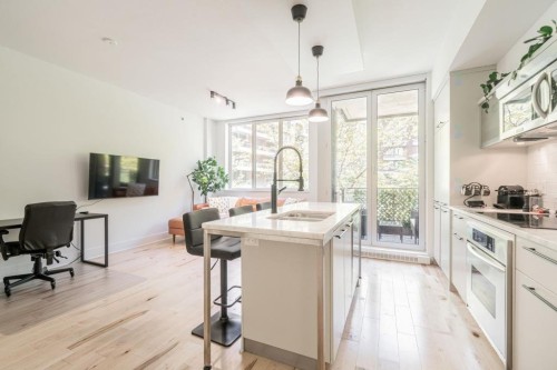 Vue d'ensemble - 208-363 Rue St-Hubert, Montréal (Ville-Marie), QC - Indoor Photo Showing Kitchen With Upgraded Kitchen