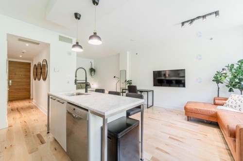 Vue d'ensemble - 208-363 Rue St-Hubert, Montréal (Ville-Marie), QC - Indoor Photo Showing Kitchen