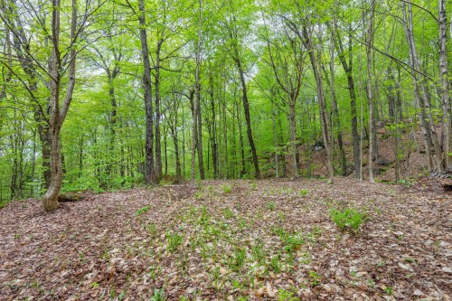 Extérieur - 225 Ch. Laurent, Saint-Adolphe-D'Howard, QC - Outdoor With View