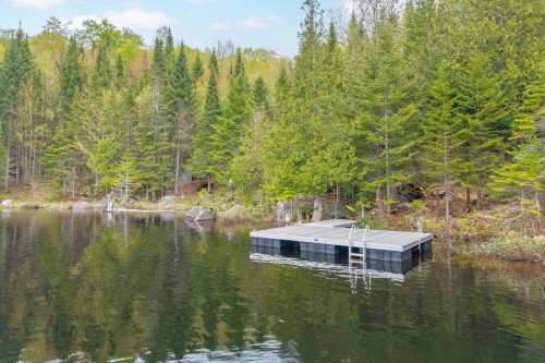 Bord de l'eau - 225 Ch. Laurent, Saint-Adolphe-D'Howard, QC - Outdoor With Body Of Water