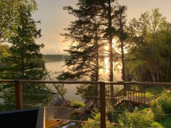 View - 